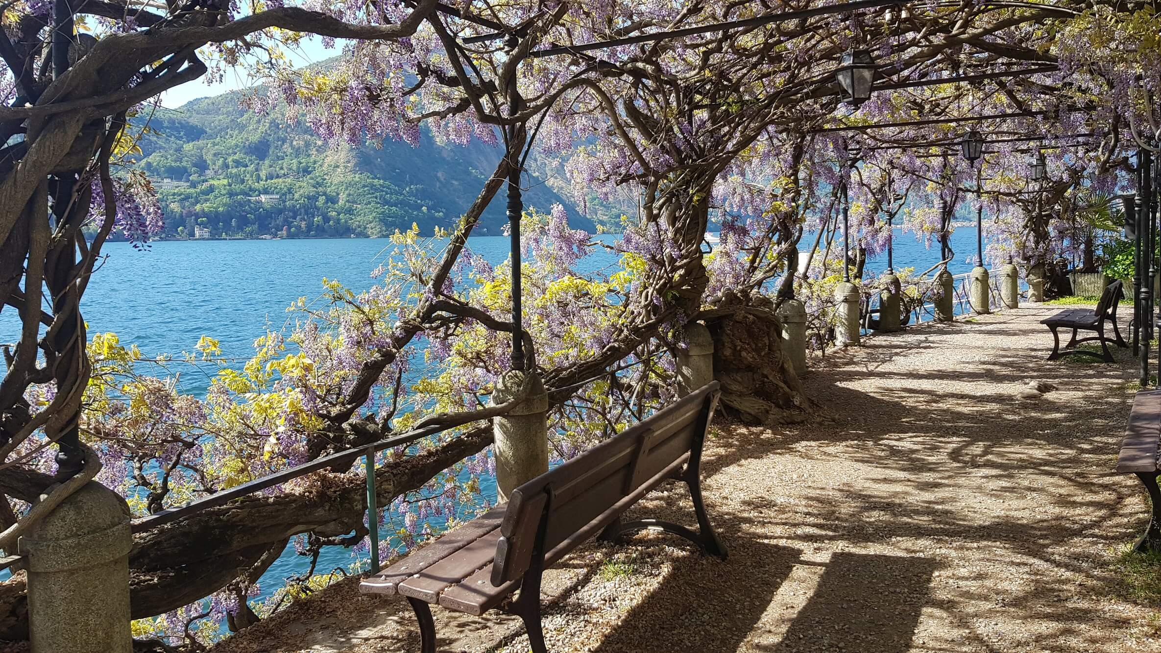 Luxury private estates and blue waters of Lake Como near Bellagio - Northitaly Villas