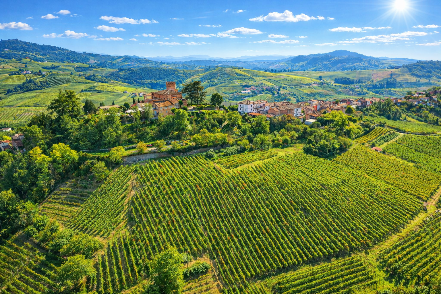 Rolling Langhe vineyard landscape in Piedmont near Barolo and Alba - Northitaly Villas
